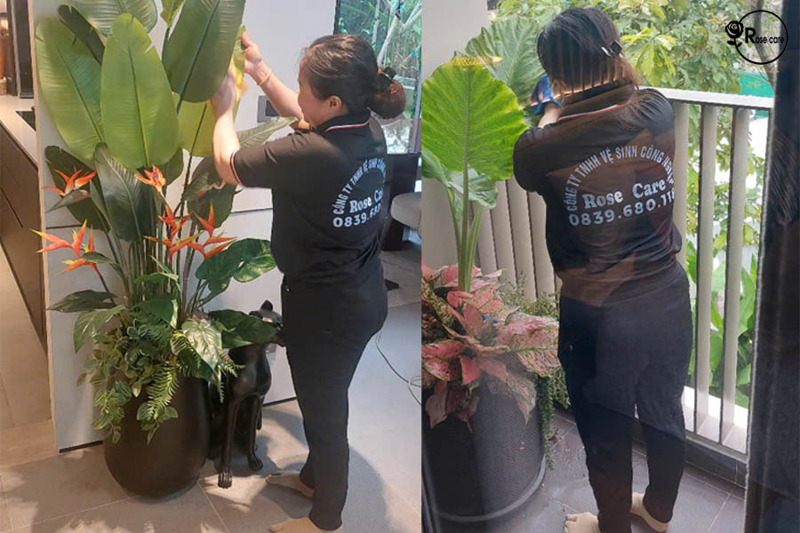 Dich-vu-cham-soc-mang-xanh